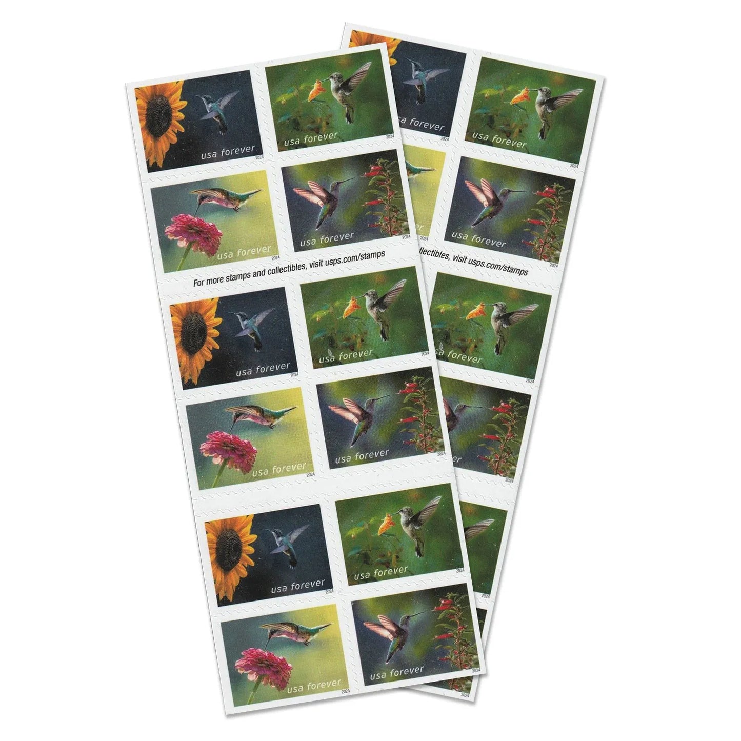 2024 Garden Delights  Forever First Class Postage Stamps