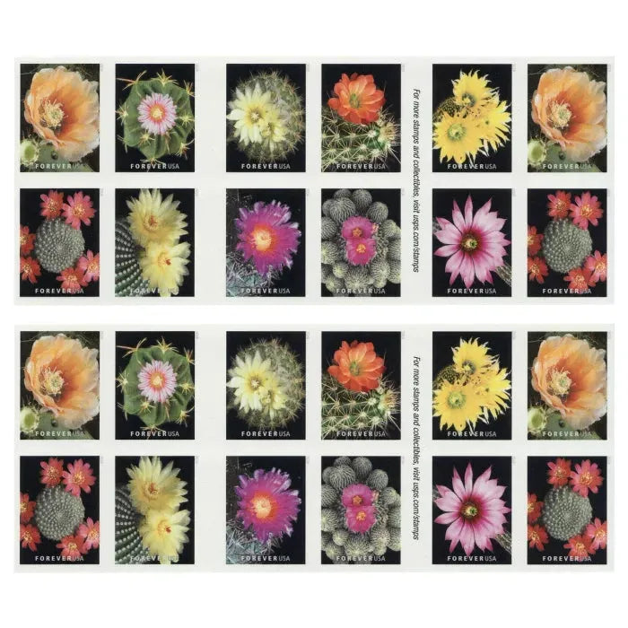 2019 Cactus Flowers Forever First Class Postage Stamps