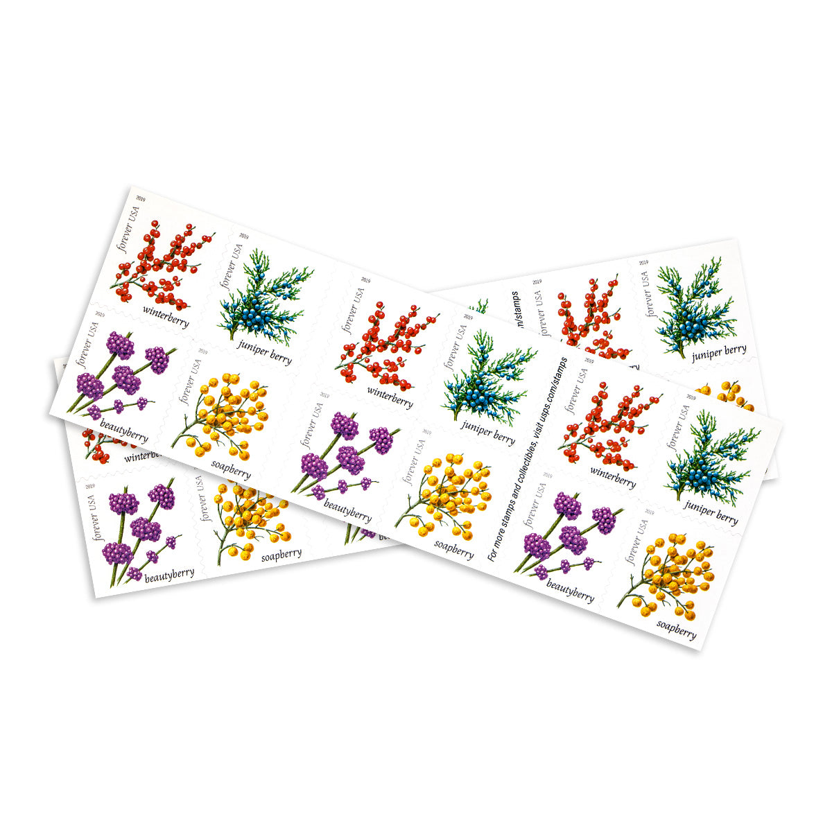 2019 Winter Berries Forever First Class Postage Stamps