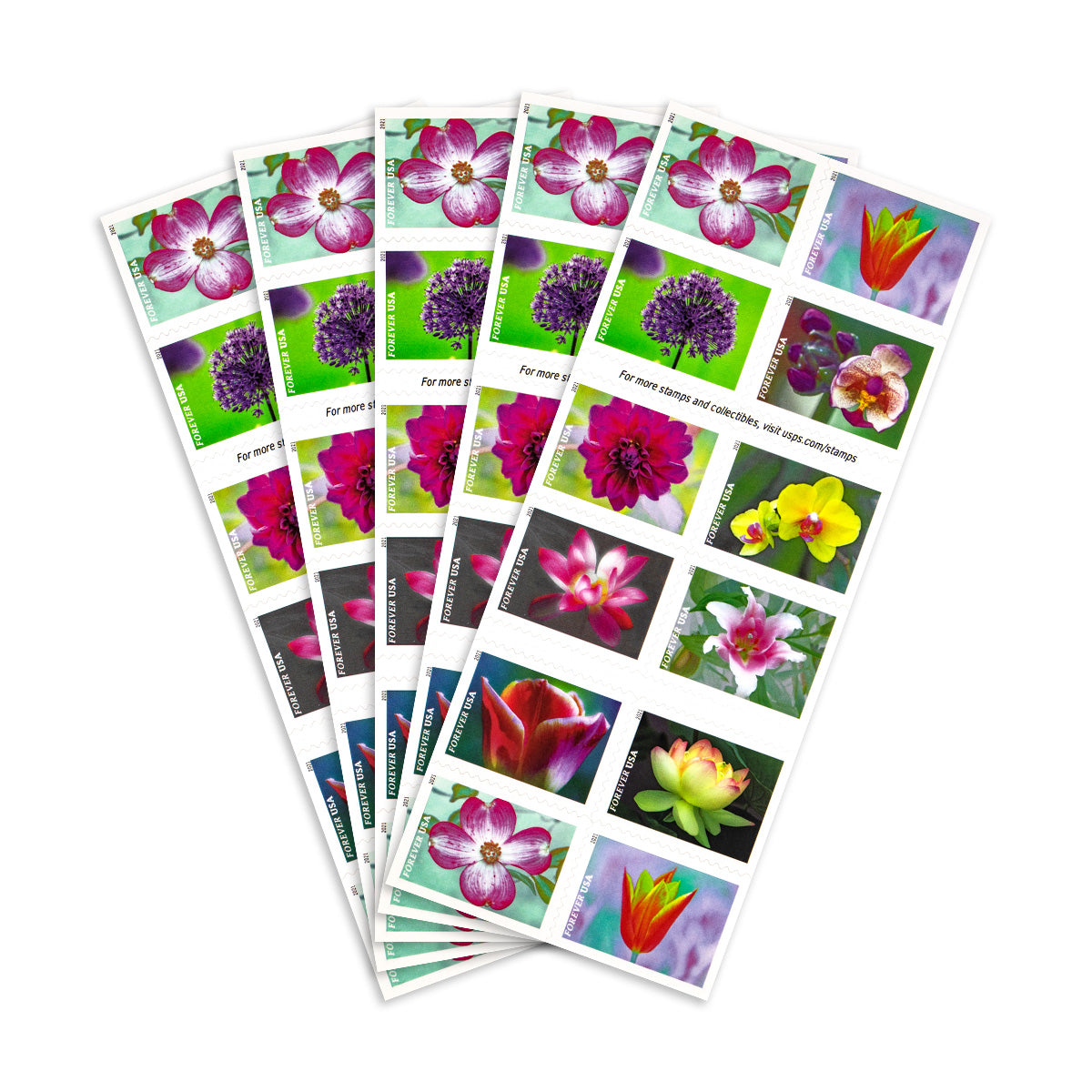 2021 Garden Beauty Forever First Class Postage Stamps