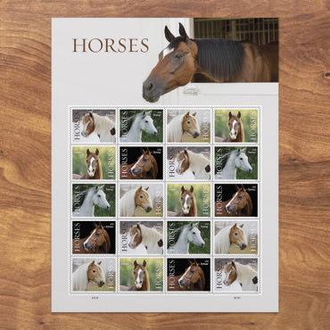 2024 Horses Forever First Class Postage Stamps