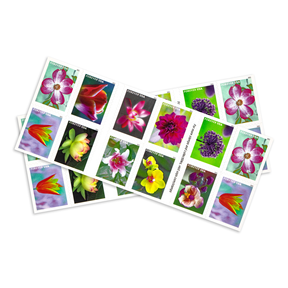 2021 Garden Beauty Forever First Class Postage Stamps