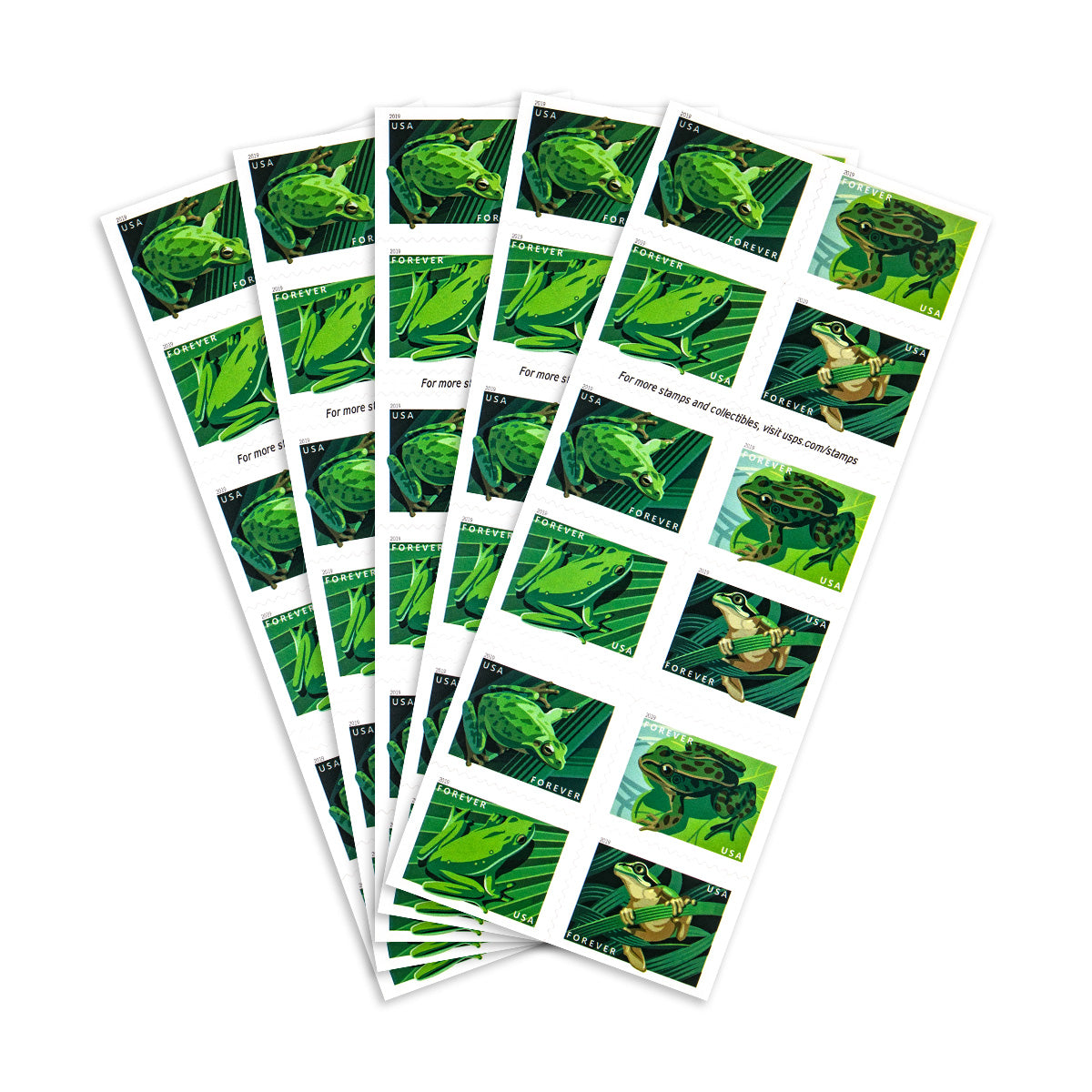 2019 Frogs Forever First Class Postage Stamps